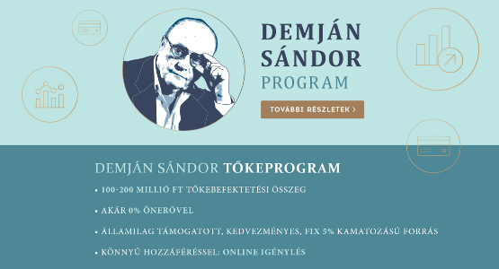 Online tájékoztató a Demján Sándor Tőkeprogramról