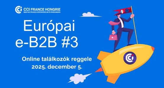 Európai e-B2B #3